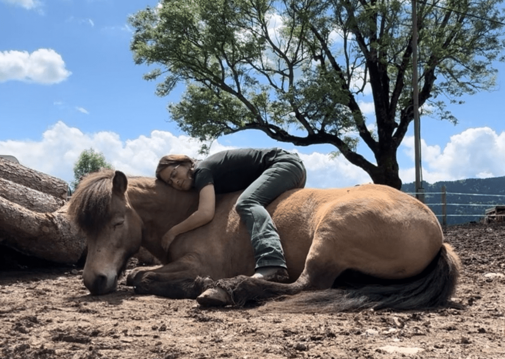 Sigrid liegt auf ihrer ebenfalls liegenden und dösenden Stute Lilja auf einem Paddock. Beide wirken sehr vertraut.